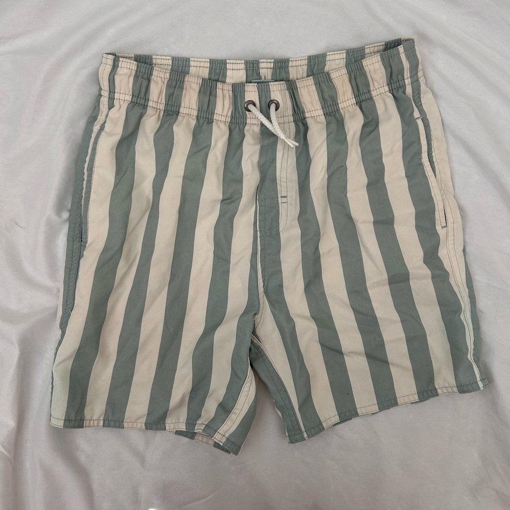 Class Club Green and Cream Striped Swim Trunks